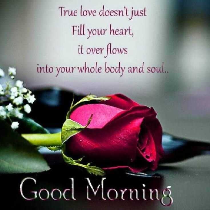 True Love Fill The Heart. Good Morning Quotes for Her With Beautiful Images 18