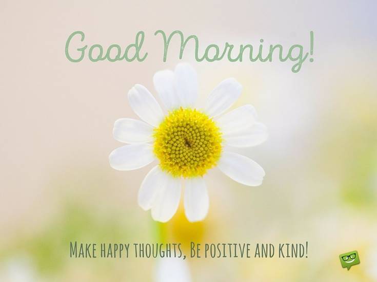 Best Good Morning Flowers with positive images