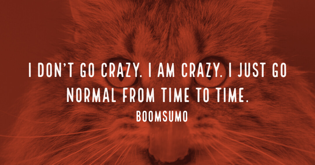 78 Funny Quotes And Sayings To Make You Laugh Out Loud - BoomSumo