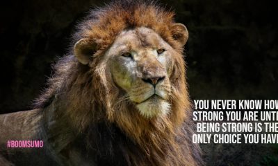 Be Strong Quotes About Strength – Never Give Up