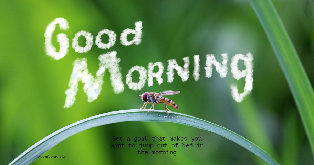 38 Good Morning Quotes and Wishes with Beautiful Images