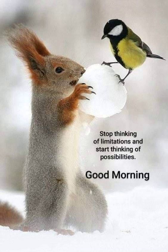 beautiful sunday good morning quotes beautiful sunday good morning quotes