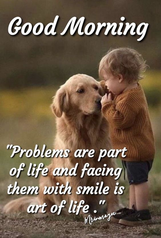 good morning have an amazing day quotes good morning have an amazing day quotes