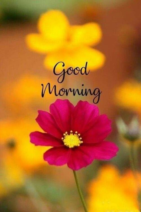 good morning quotes chinese good morning quotes chinese
