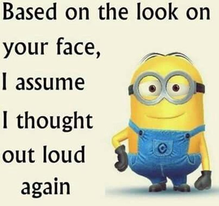 New Funny Minion Quotes with Images 2