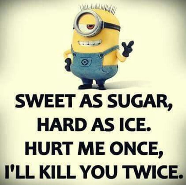 New Funny Minion Quotes with Images 22