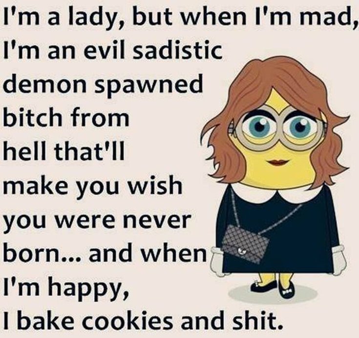 New Funny Minion Quotes with Images 8