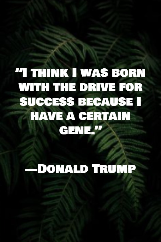 Motivational quotes for success Motivational quotes for success
