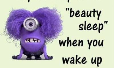 50 Funny Jokes Minions Quotes With Images 20