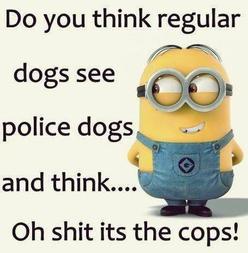 38 Fun Minion Quotes Of The Week Funny Images love craziness quotes