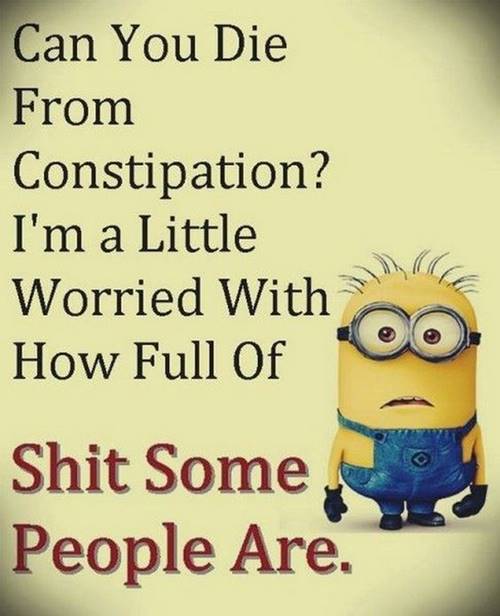 38 Fun Minion Quotes Of The Week Funny Images 35