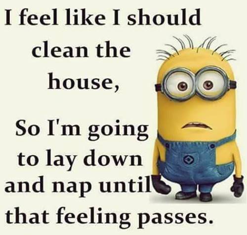 38 Fun Minion Quotes Of The Week Funny Images 5