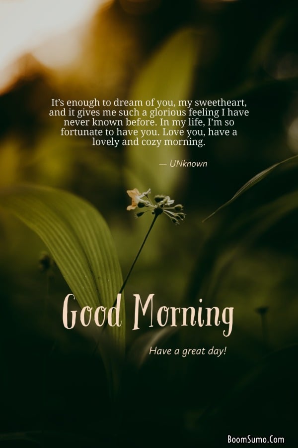 Beautiful Good Morning Life Images | Morning inspirational quotes, Good morning inspirational quotes, Happy good morning quotes