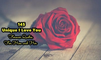 Unique I Love You Forever Quotes For Him and Her