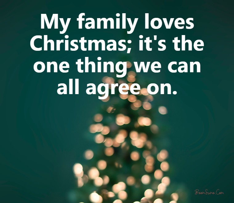 120 Merry Christmas Family Quotes  Festive Holiday Sayings  BoomSumo