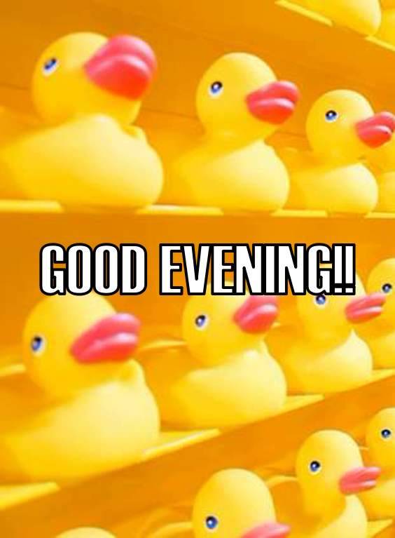 good evening memes