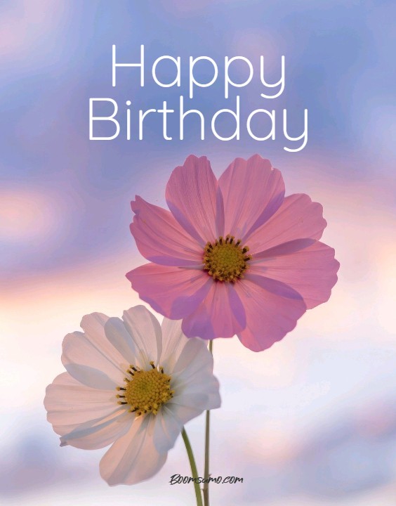 Cute Happy Birthday Flowers And Quotes to Enjoy Your Day