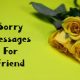 I Am Sorry Messages for Friends Apologize Texts and Notes