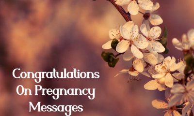 What to Write Congratulations On Your Pregnancy Notes Quotes