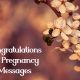 What to Write Congratulations On Your Pregnancy Notes Quotes