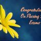 What to Write Congratulations for Passing Exam and Good Result Quotes About Appreciation Messages Wishes