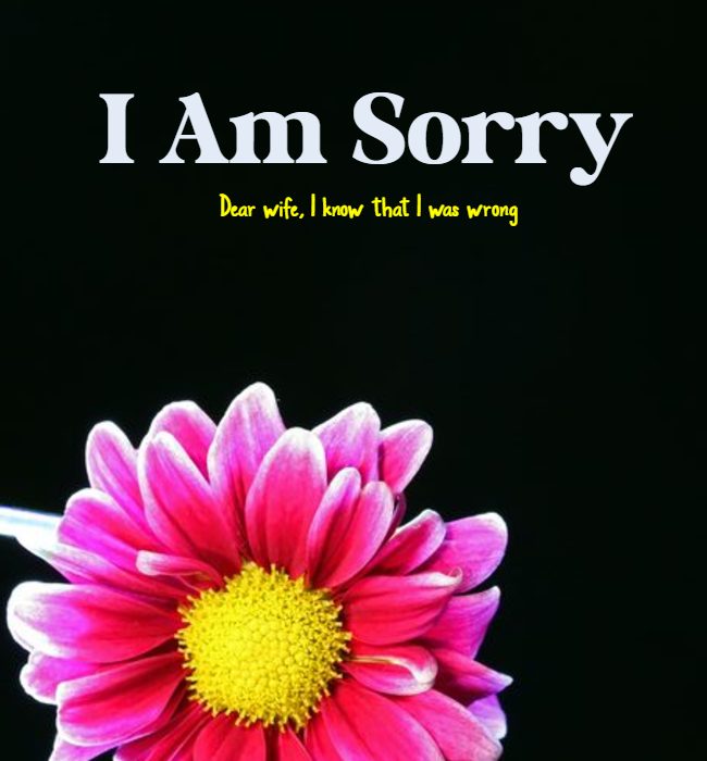 apology quotes for wife