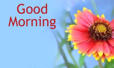 Amazing Good Morning Images Wishes With Pictures And Beautiful Positive Vibes