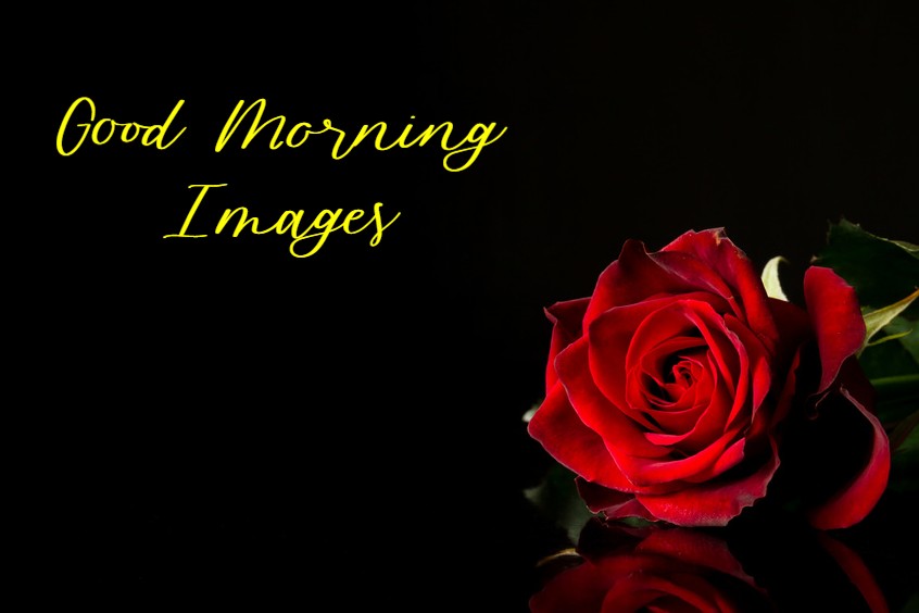 New Good Morning Images With Pictures Quotes Wishes Messages