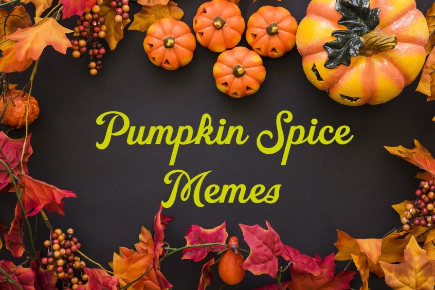 Pumpkin Spice Memes And Quotes Images