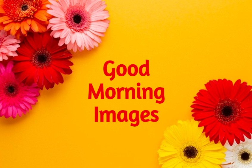 beautiful morning images with msg