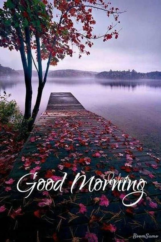 Sweet Good Morning Day Images Wishes With Pictures And Beautiful Good Day Sayings Quotesgood morning inspirational quotes