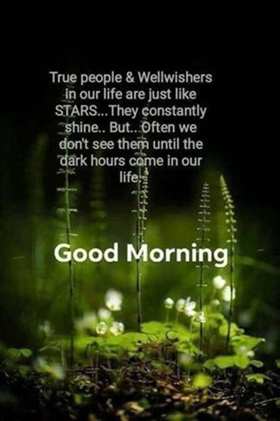 beautiful morning wishes Good Morning Msg With Pictures Images And Quotes Positive Energy