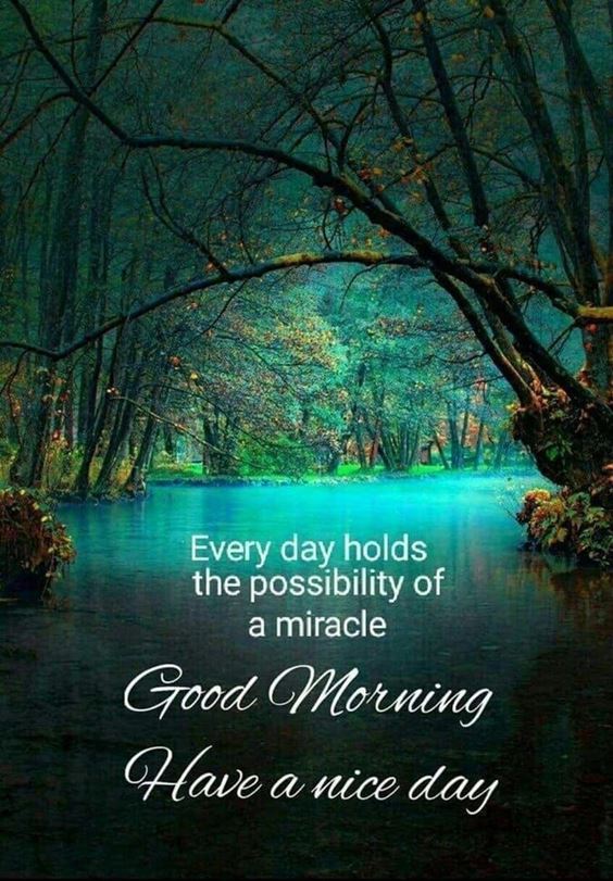 gm msg Good Morning Msg With Pictures Images And Quotes Positive Energy