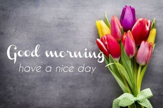 good morning pictures images New Good Morning Images With Pictures Quotes Wishes Messages