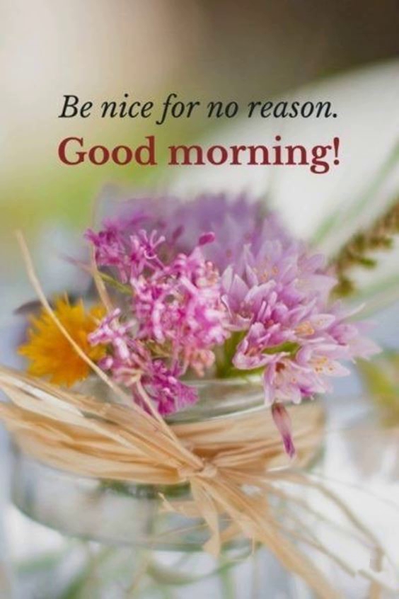 good morning to you images Special Good Morning Images With Quotes Pictures And beautiful pic msg