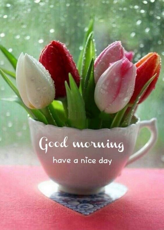 good morning wishes images New Good Morning Images With Pictures Quotes Wishes Messages