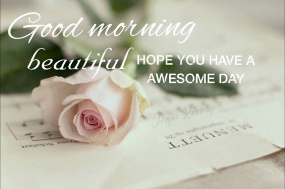 goodmorning photos New Good Morning Images With Pictures Quotes Wishes Messages