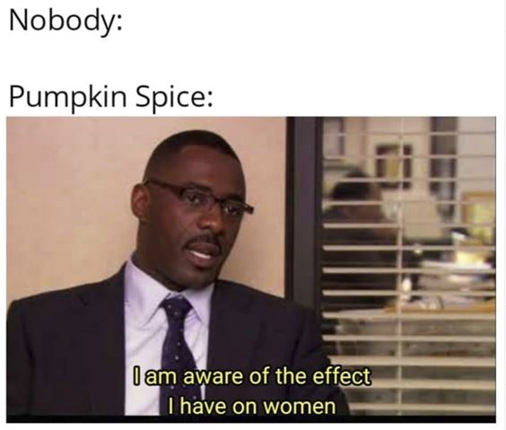 happy fall meme Pumpkin Spice Memes And Quotes Images