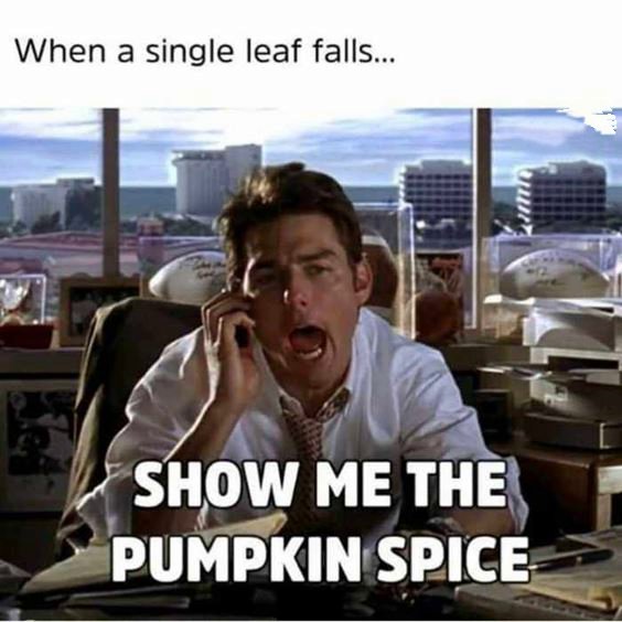 pumpkin girl meme Pumpkin Spice Memes And Quotes Images