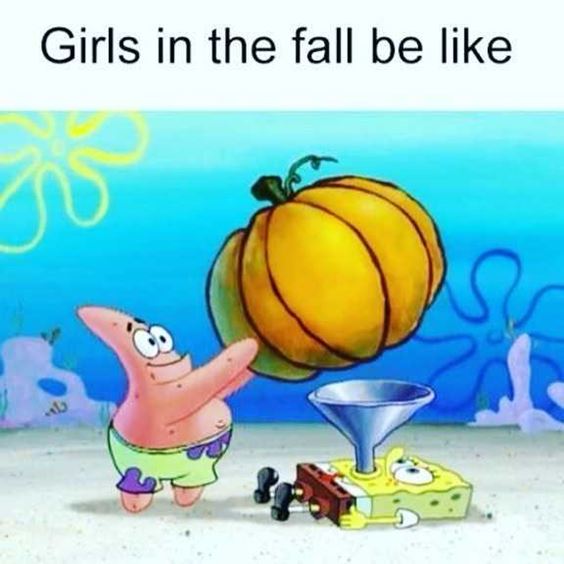 pumpkin spice everything meme Pumpkin Spice Memes And Quotes Images