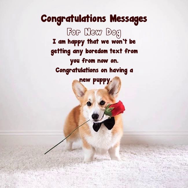 welcome new puppy message