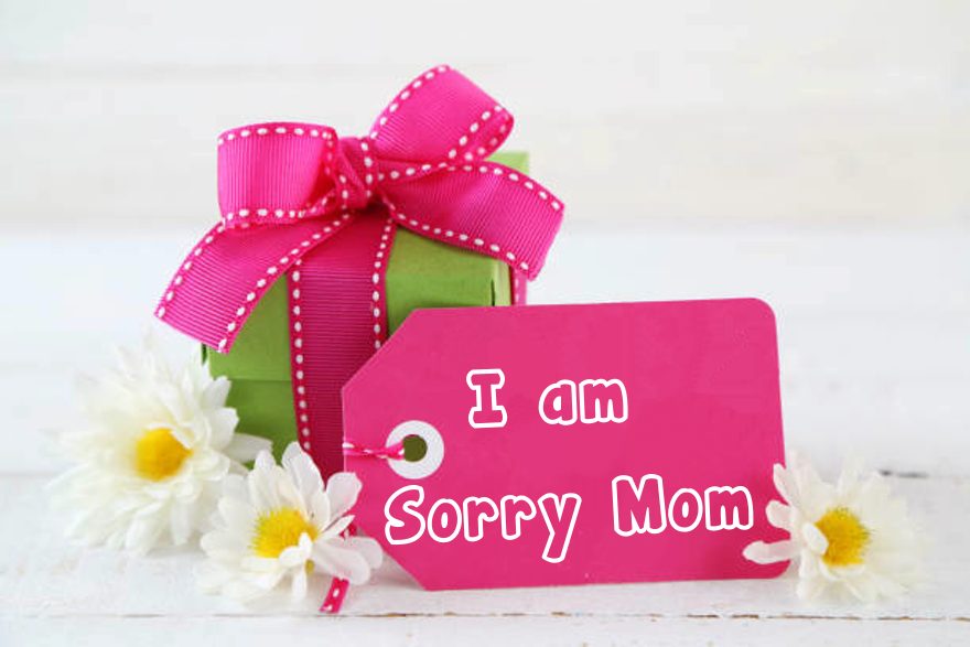 I am Sorry Mom Sweetest Sorry Text Msg For Mother