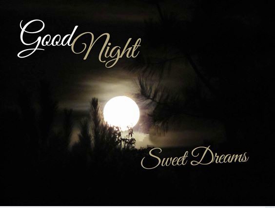 good night image Unique Sweet Good Night Images With Beautiful Quotes