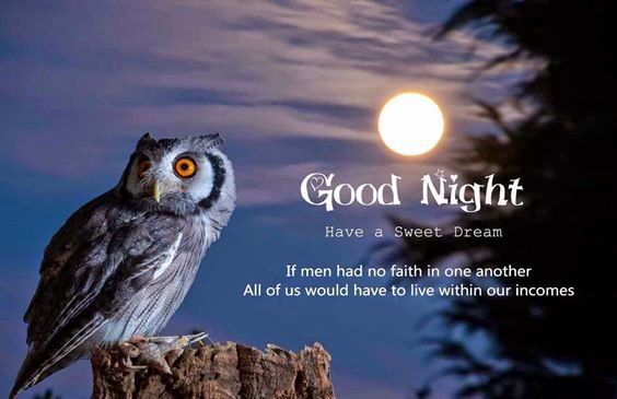 good nite quotes Unique Sweet Good Night Images With Beautiful Quotes