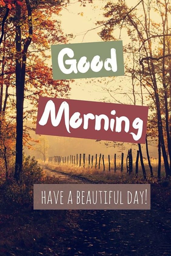 Beautiful Morning Pictures And Quotes With Good Morning Images Ideas good morning image hd
