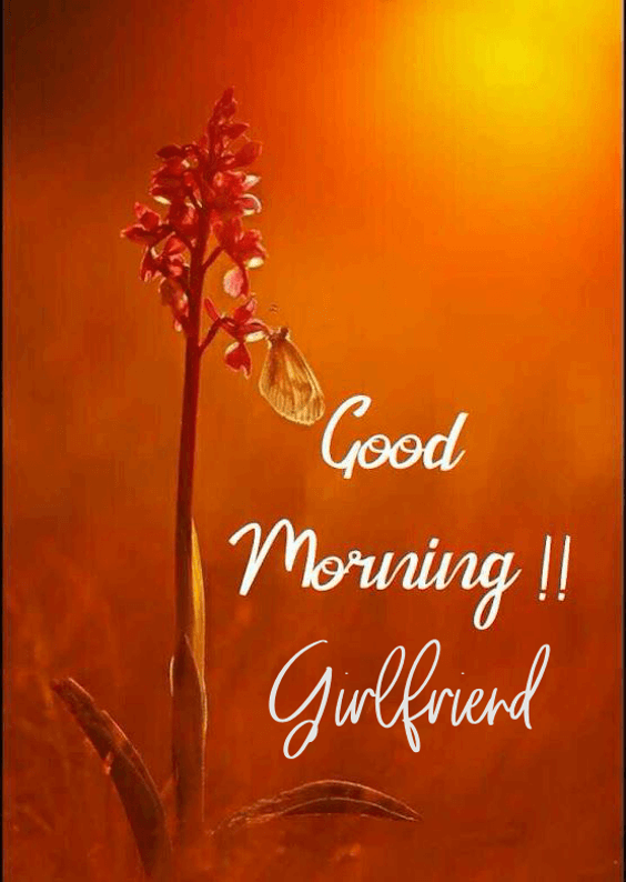 Sweet Good Morning Messages For Girlfriend To Make Her Smile - Best Wishes, Messages | Good morning messages, Romantic good morning messages, Morning messages