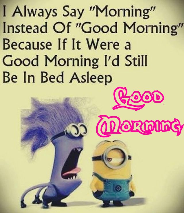 160 Funny Good Morning Messages | Cute Good Morning Funny Jokes To Make  Smile - BoomSumo