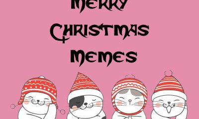 Merry Christmas Memes And Fun Merry Christmas Pictures