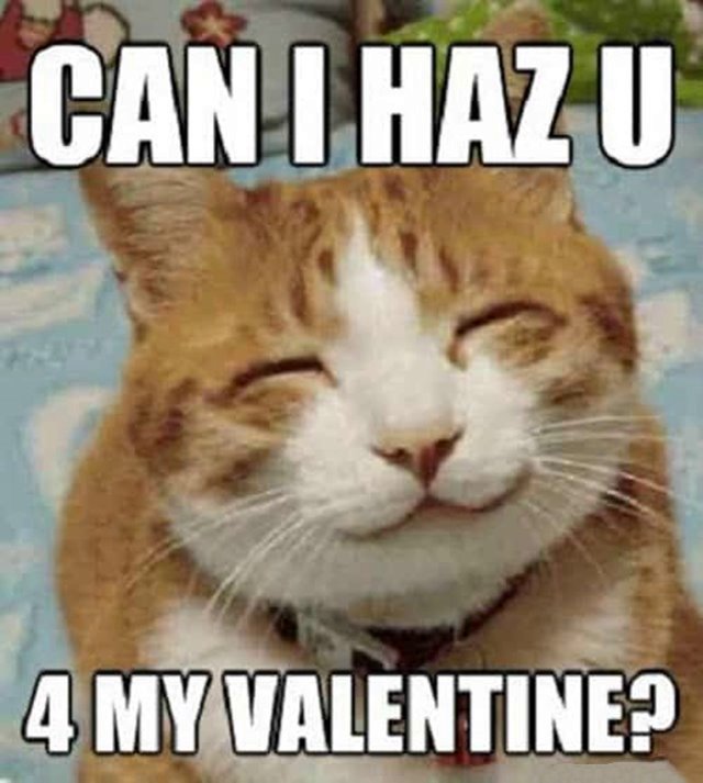 valentine days meme pictures Funny Valentine Memes To Good Laugh For Sarcastic Valentines Memes