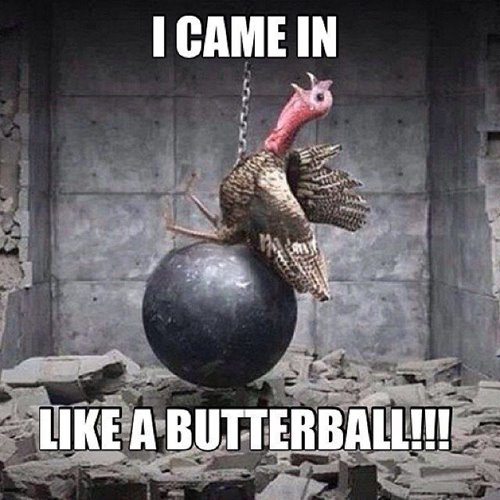happy thanksgiving funny meme and funny happy thanksgiving memes